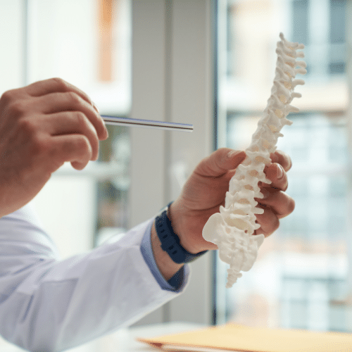 Procedures We Perform