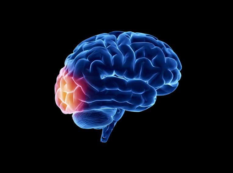 Minimally Invasive
Skull Base Surgery