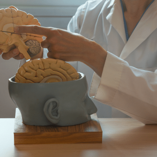 What is Dual-Trained
Vascular Neurosurgeon?