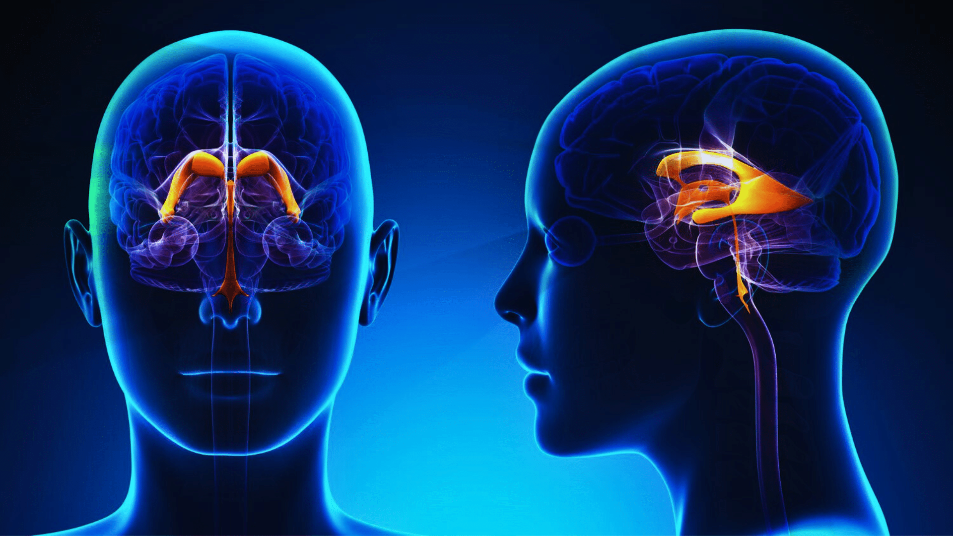 Hydrocephalus and
Shunt Conditions We Treat